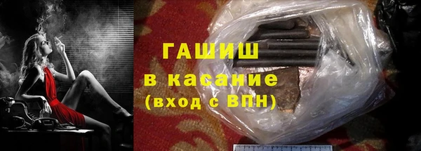 стаф Гусев