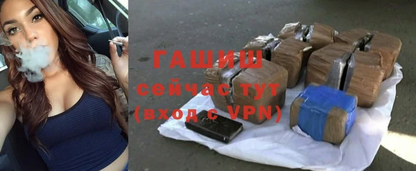 индика Гусиноозёрск