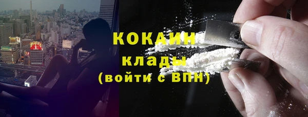 стаф Гусев