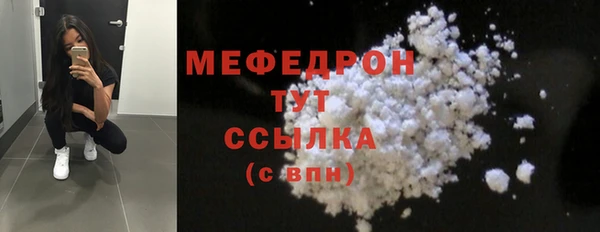 индика Гусиноозёрск