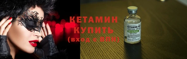 индика Гусиноозёрск