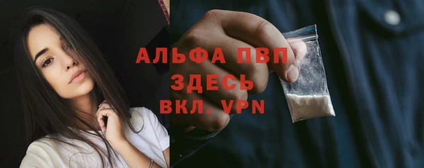 стаф Гусев