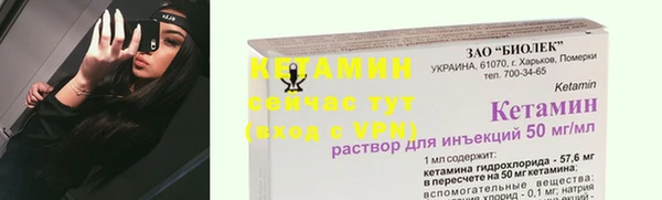 индика Гусиноозёрск