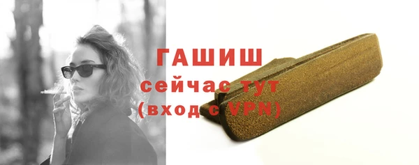 индика Гусиноозёрск