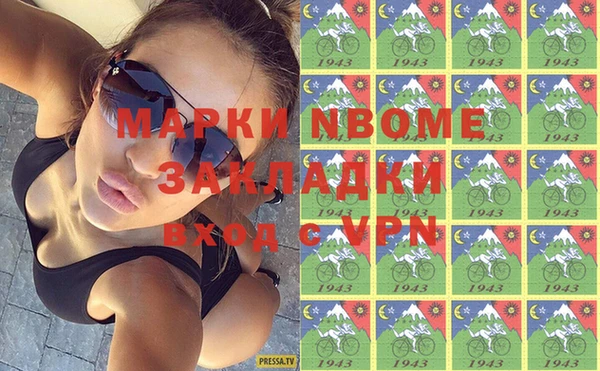 индика Гусиноозёрск