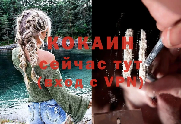 индика Гусиноозёрск