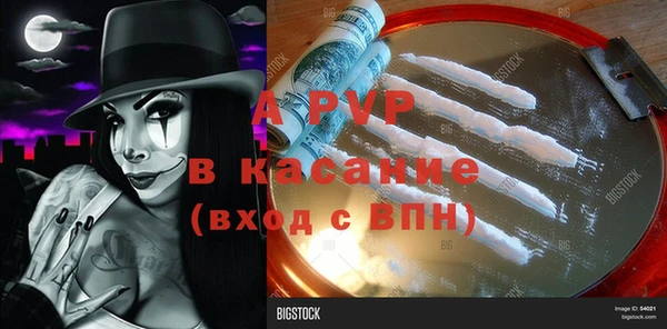 индика Гусиноозёрск