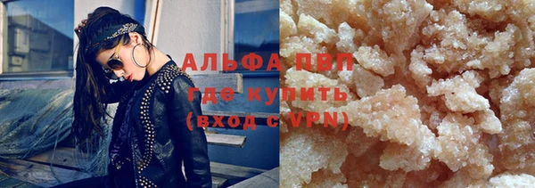 индика Гусиноозёрск