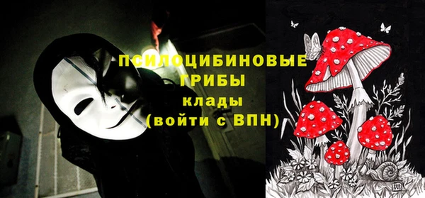 Альфа ПВП Гусь-Хрустальный