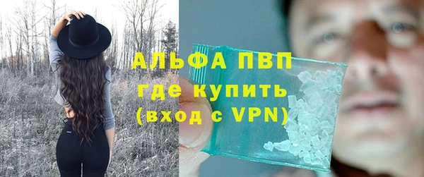 стаф Гусев