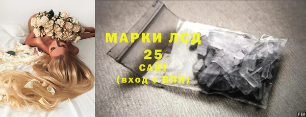 стаф Гусев
